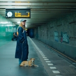 Jip van den Toorn: Boekhouder 
